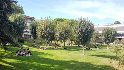 UAB Barcelona Summer School